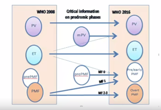 张培红教授:骨髓增殖性肿瘤(MPN)的病理进展
