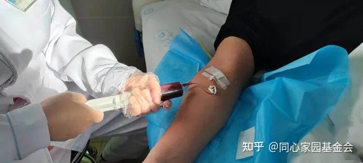 红细胞增多症,一月份放的血,二月份血红蛋白又高到206。该怎么治疗?