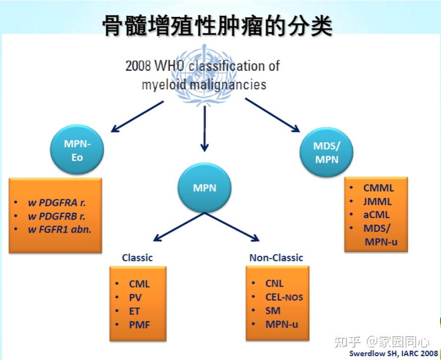 一文了解骨髓增殖性肿瘤(MPN)的前世今生
