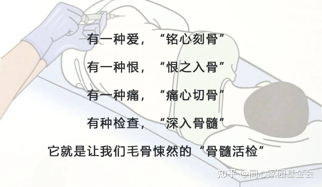 大咖零距离 | 骨髓活检知多少?刘清池教授为您一一解答