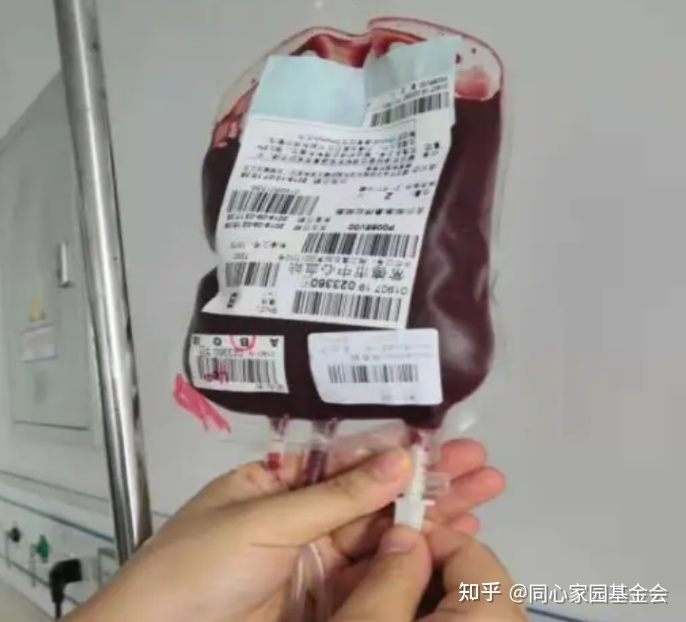 病友故事 | 从白血病到骨髓纤维化,峰回路转,终迎生命曙光
