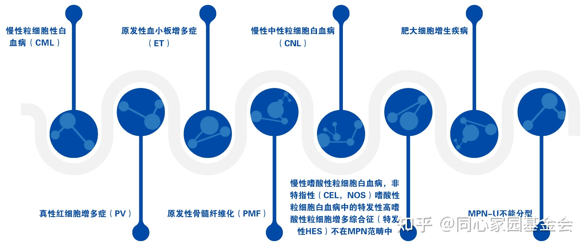 专家讲座 | 真性红细胞增多症(PV)的概述及最新进展(上)