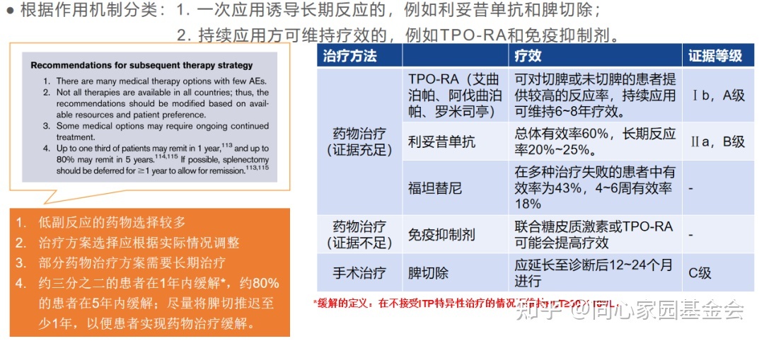 专家讲座 | ITP患者必读,周泽平教授带您解读治疗全方案