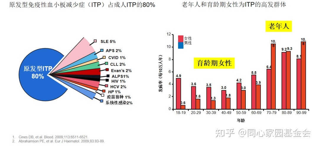 专家讲座 | ITP患者必读,周泽平教授带您解读治疗全方案