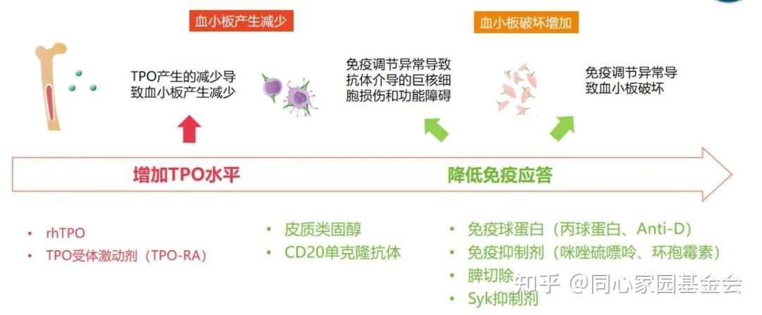 专家讲座 | ITP患者必读,周泽平教授带您解读治疗全方案