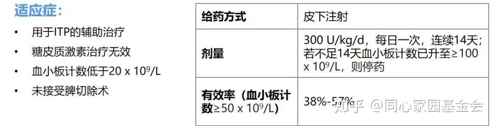 专家讲座 | ITP患者必读,周泽平教授带您解读治疗全方案