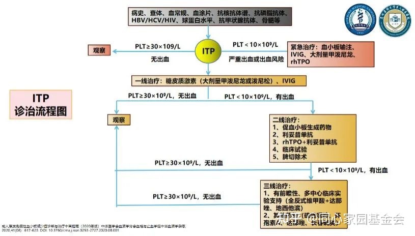 专家讲座 | ITP患者必读,周泽平教授带您解读治疗全方案
