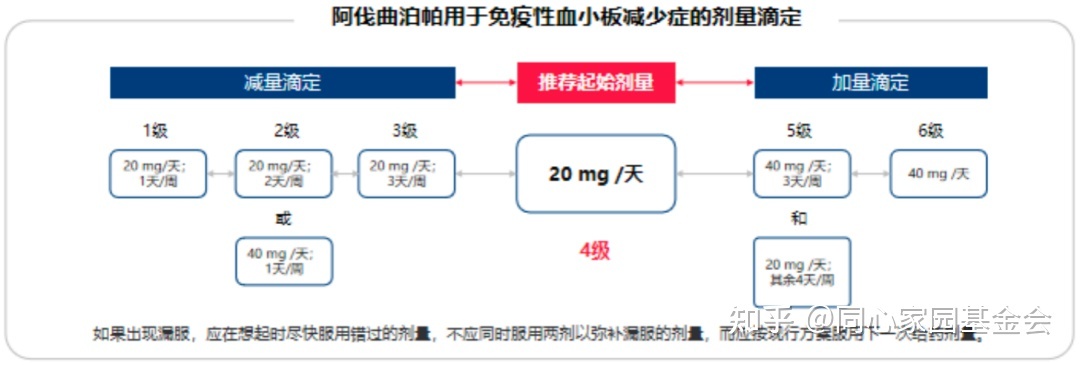 专家讲座 | ITP患者必读,周泽平教授带您解读治疗全方案