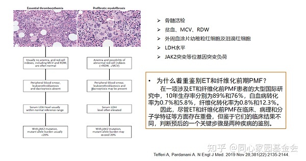 专家讲座 | 张磊教授带您了解原发性血小板增多症的诊断与治疗(上)