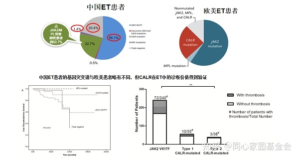 专家讲座 | 张磊教授带您了解原发性血小板增多症的诊断与治疗(上)