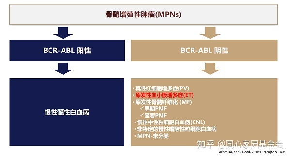 专家讲座 | 张磊教授带您了解原发性血小板增多症的诊断与治疗(上)