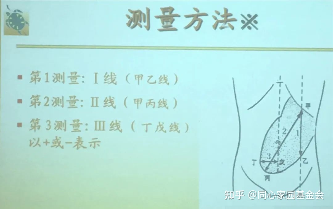 科普时间 | “脾”事儿再多,也怕“诊法”