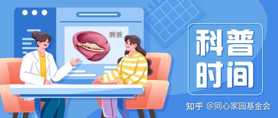科普时间 | “脾”事儿再多,也怕“诊法”