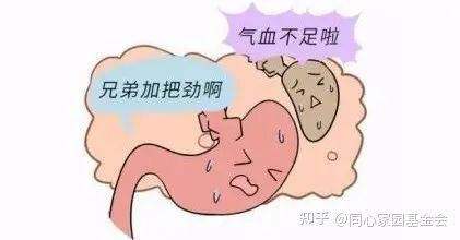 科普时间 | “脾”事儿再多,也怕“诊法”