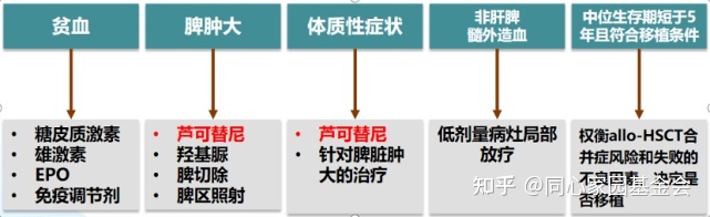 原发性骨髓纤维化的诊治与进展(下)