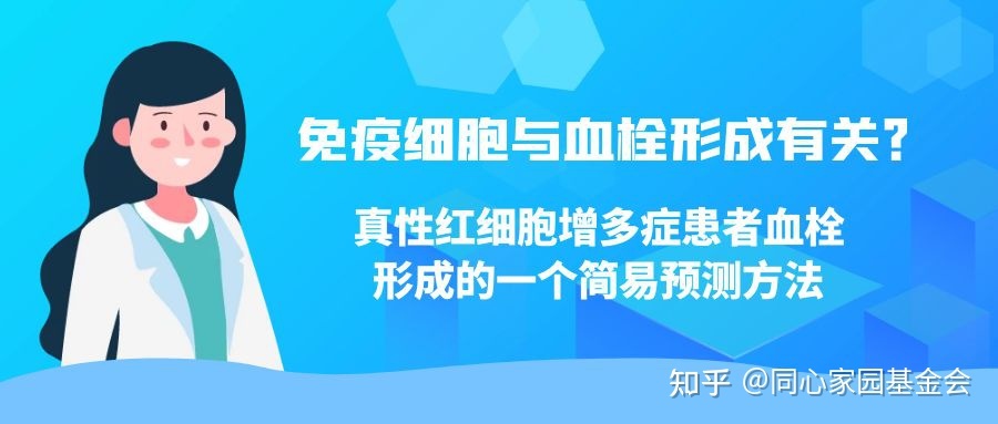 免疫细胞与血栓形成有关?真性红细胞增多症患者血栓形成的一个简易预测方法