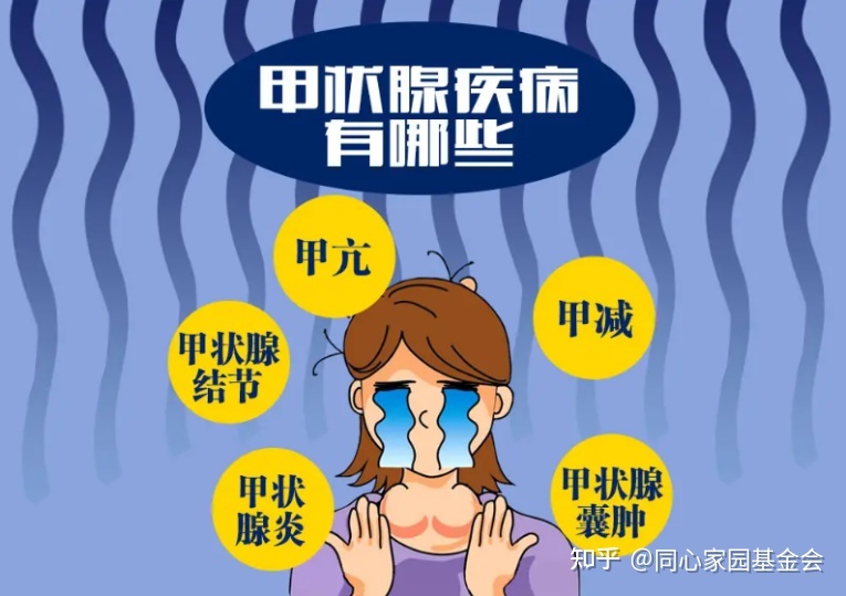 科普时间 | 骨髓增殖性肿瘤(MPN)应用干扰素,可能诱发甲状腺疾病吗?