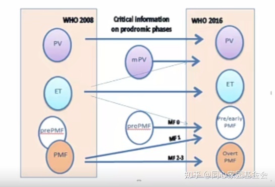 专家讲座|张培红教授:骨髓增殖性肿瘤(MPN)的病理展望