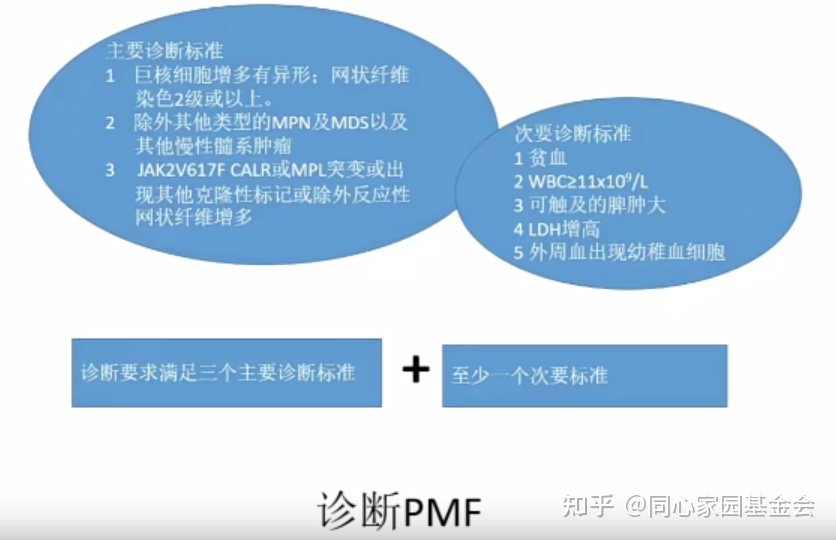 专家讲座|张培红教授:骨髓增殖性肿瘤(MPN)的病理展望