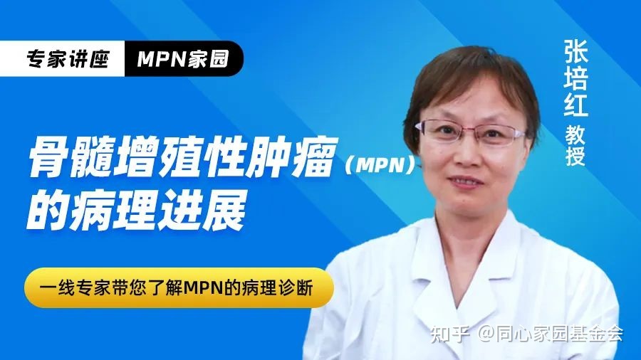 专家讲座|张培红教授:骨髓增殖性肿瘤(MPN)的病理展望