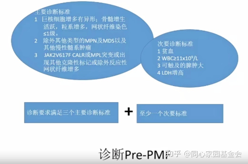 专家讲座|张培红教授:骨髓增殖性肿瘤(MPN)的病理展望