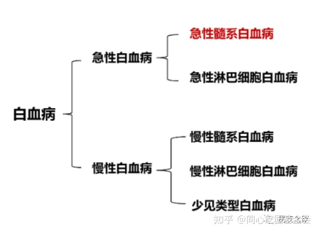 认识疾病 | 一文了解急性髓系白血病(AML)