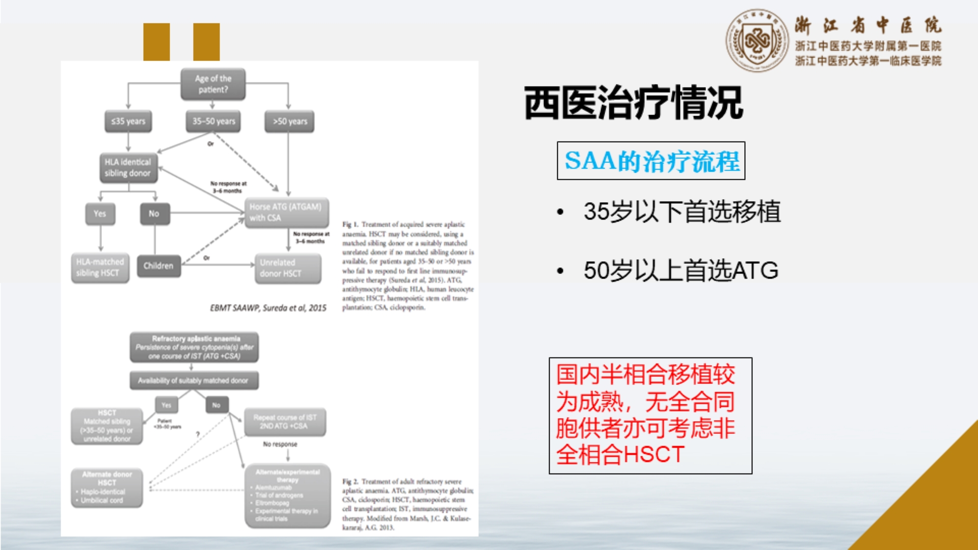 中医药在再生障碍性贫血中的应用