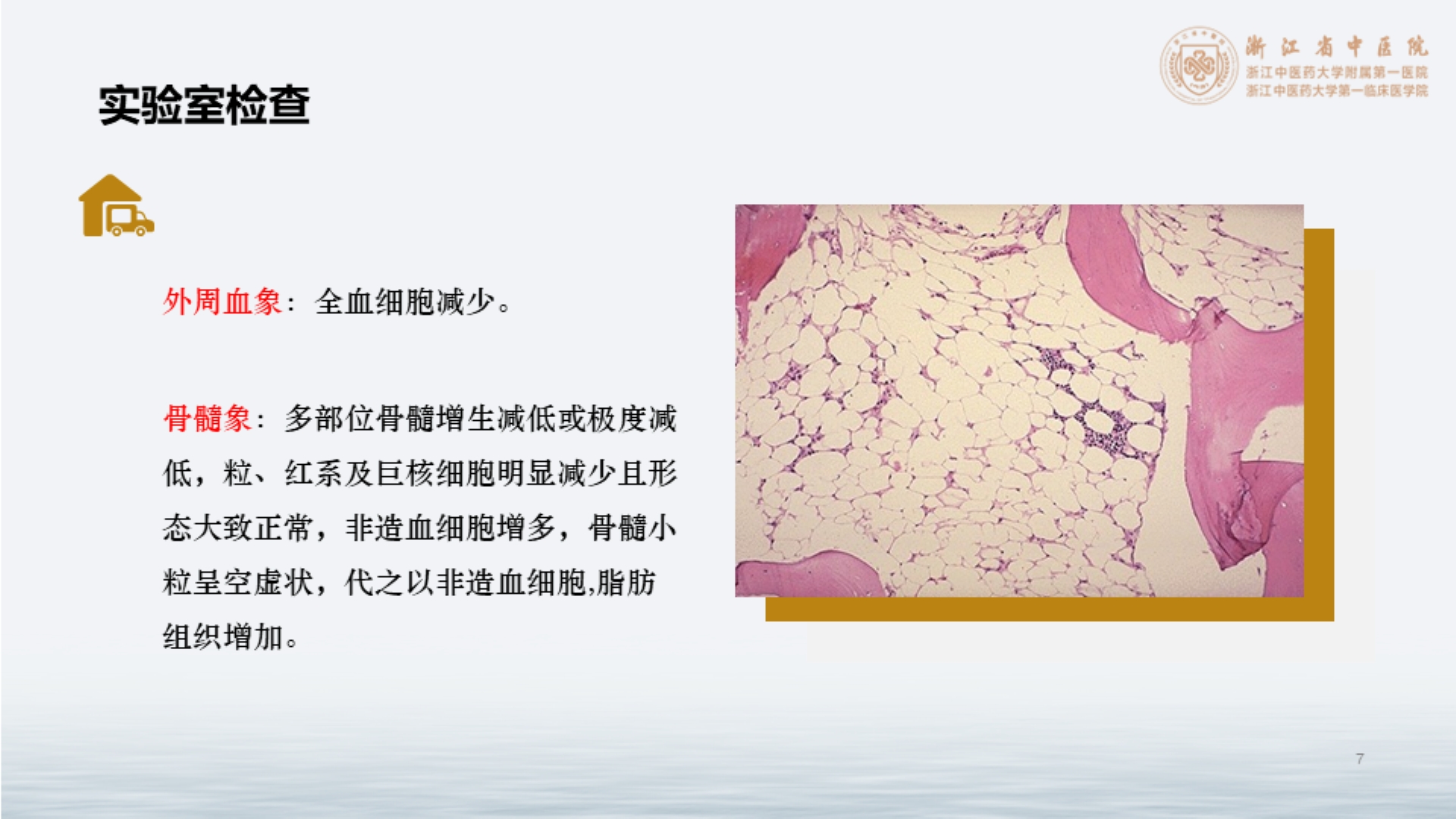 中医药在再生障碍性贫血中的应用