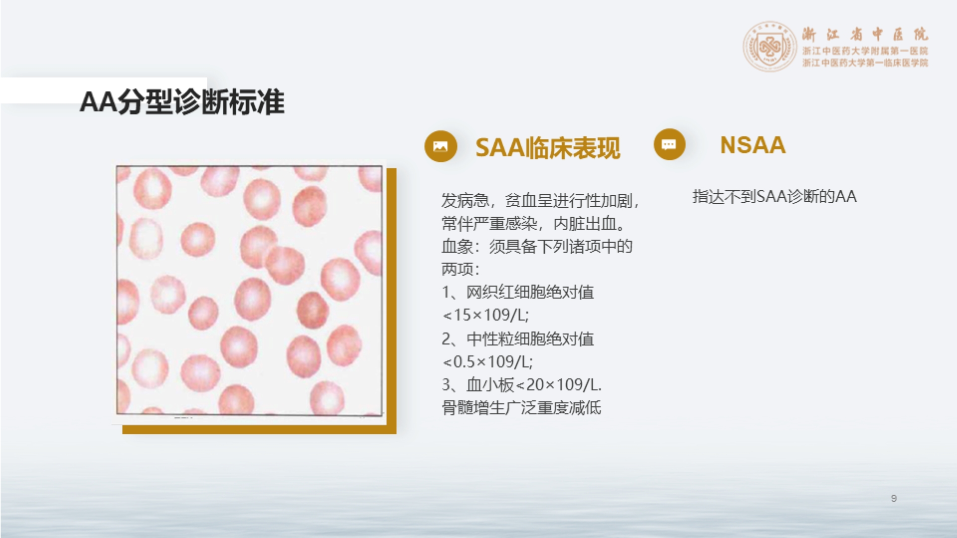 中医药在再生障碍性贫血中的应用