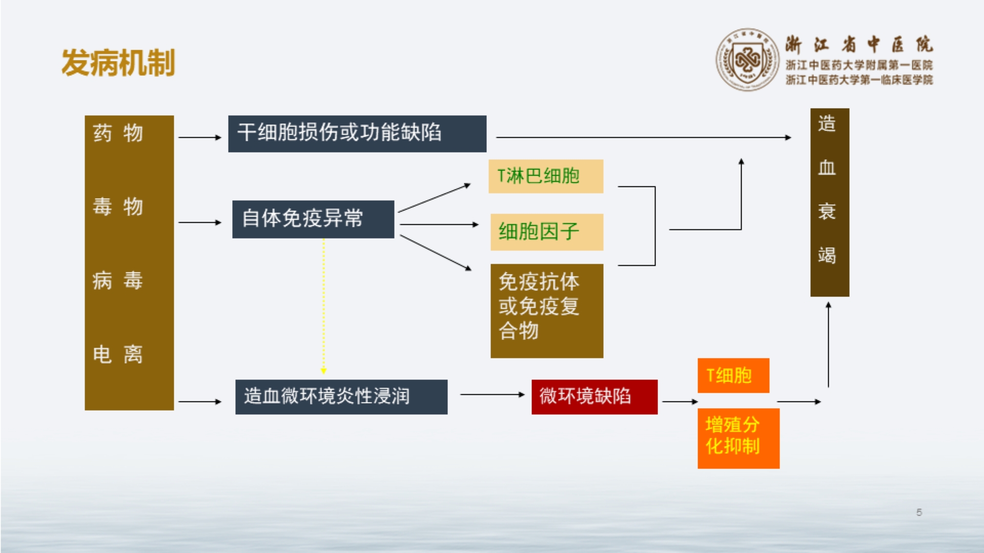 中医药在再生障碍性贫血中的应用
