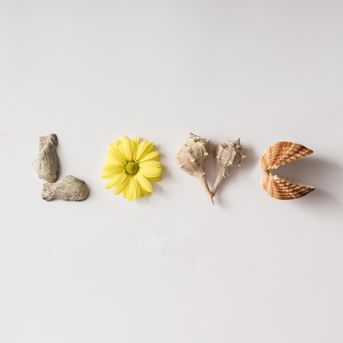 a型血友病为什么不能做手术