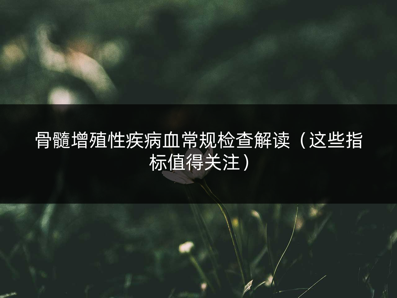 骨髓增殖性疾病血常规检查解读(这些指标值得关注)