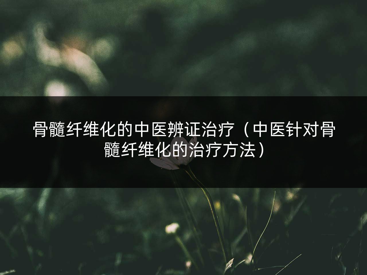 骨髓纤维化的中医辨证治疗(中医针对骨髓纤维化的治疗方法)