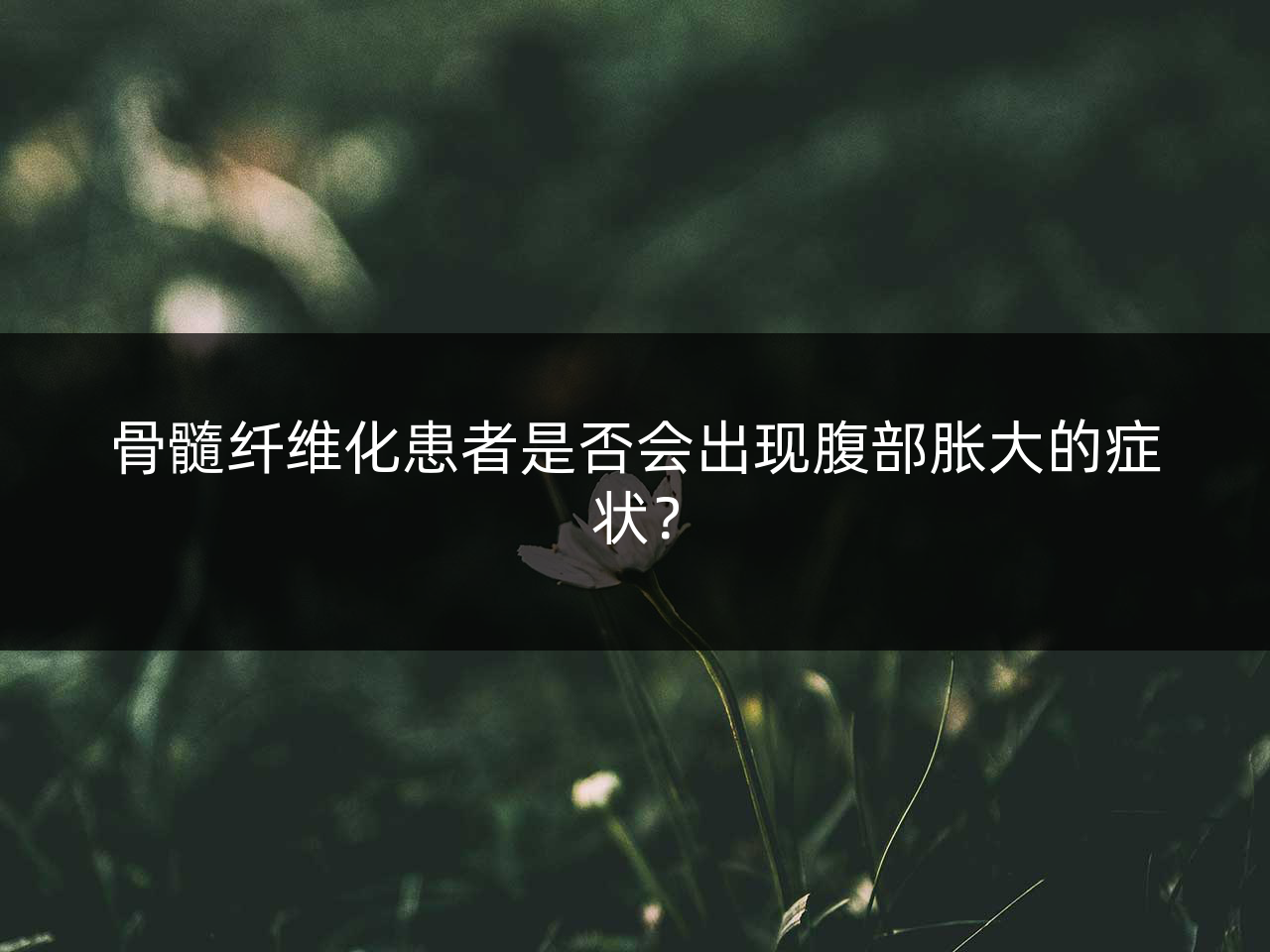 骨髓纤维化患者是否会出现腹部胀大的症状?