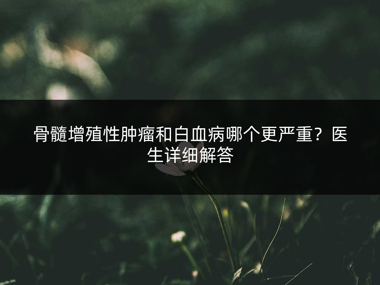 骨髓增殖性肿瘤和白血病哪个更严重?医生详细解答
