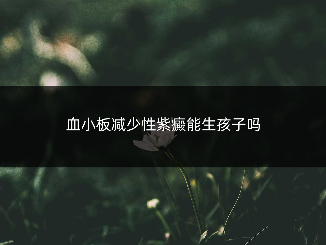 血小板减少性紫癜能生孩子吗