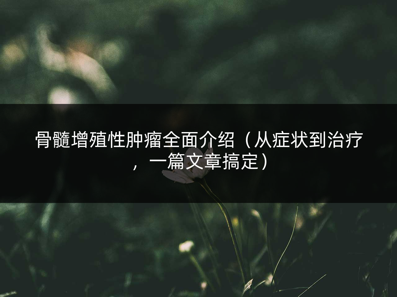 骨髓增殖性肿瘤全面介绍(从症状到治疗,一篇文章搞定)