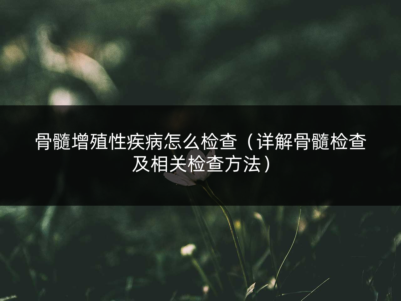 骨髓增殖性疾病怎么检查（详解骨髓检查及相关检查方法）