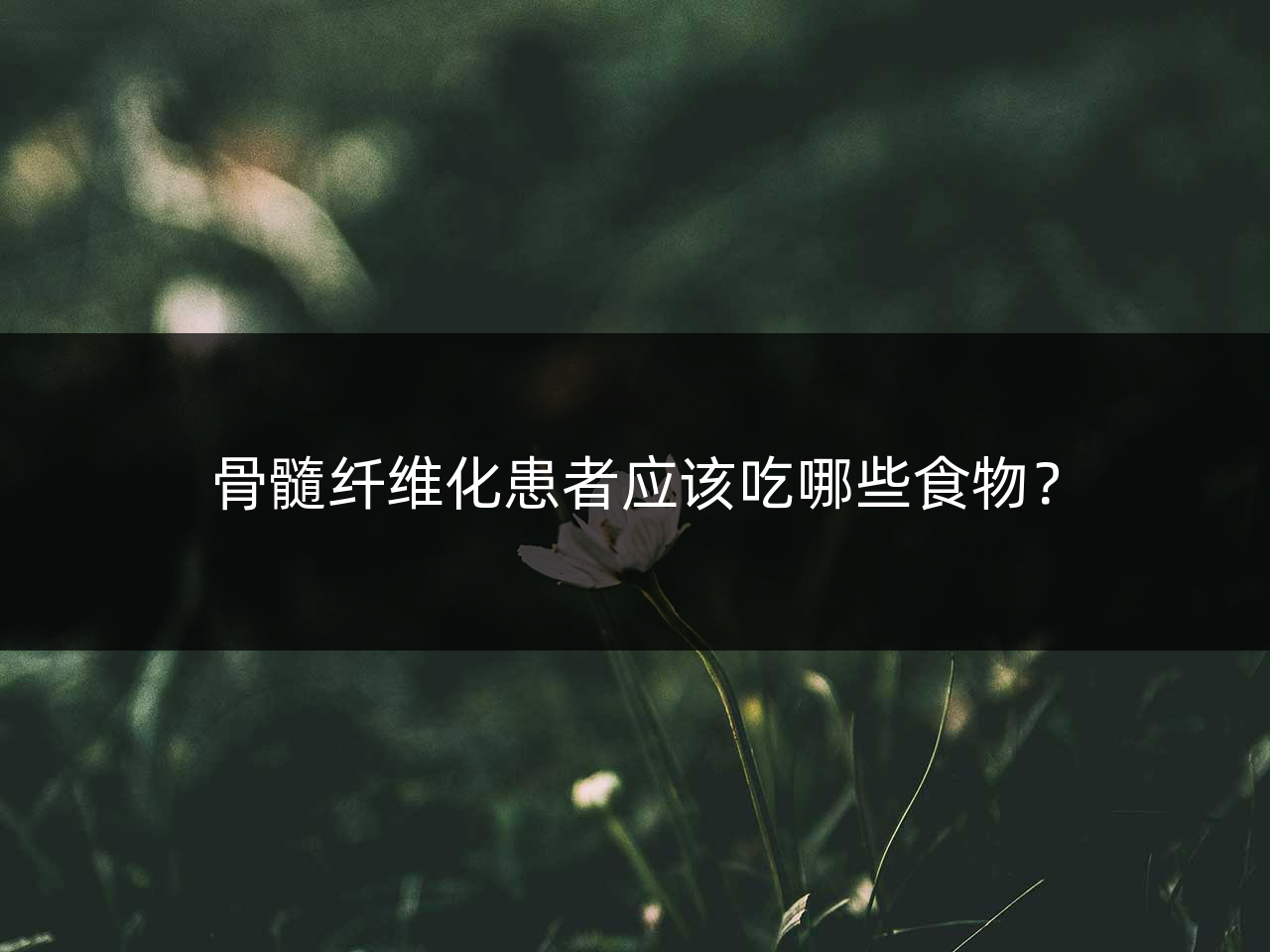 骨髓纤维化患者应该吃哪些食物?