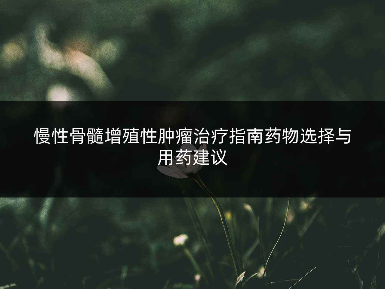 慢性骨髓增殖性肿瘤治疗指南药物选择与用药建议