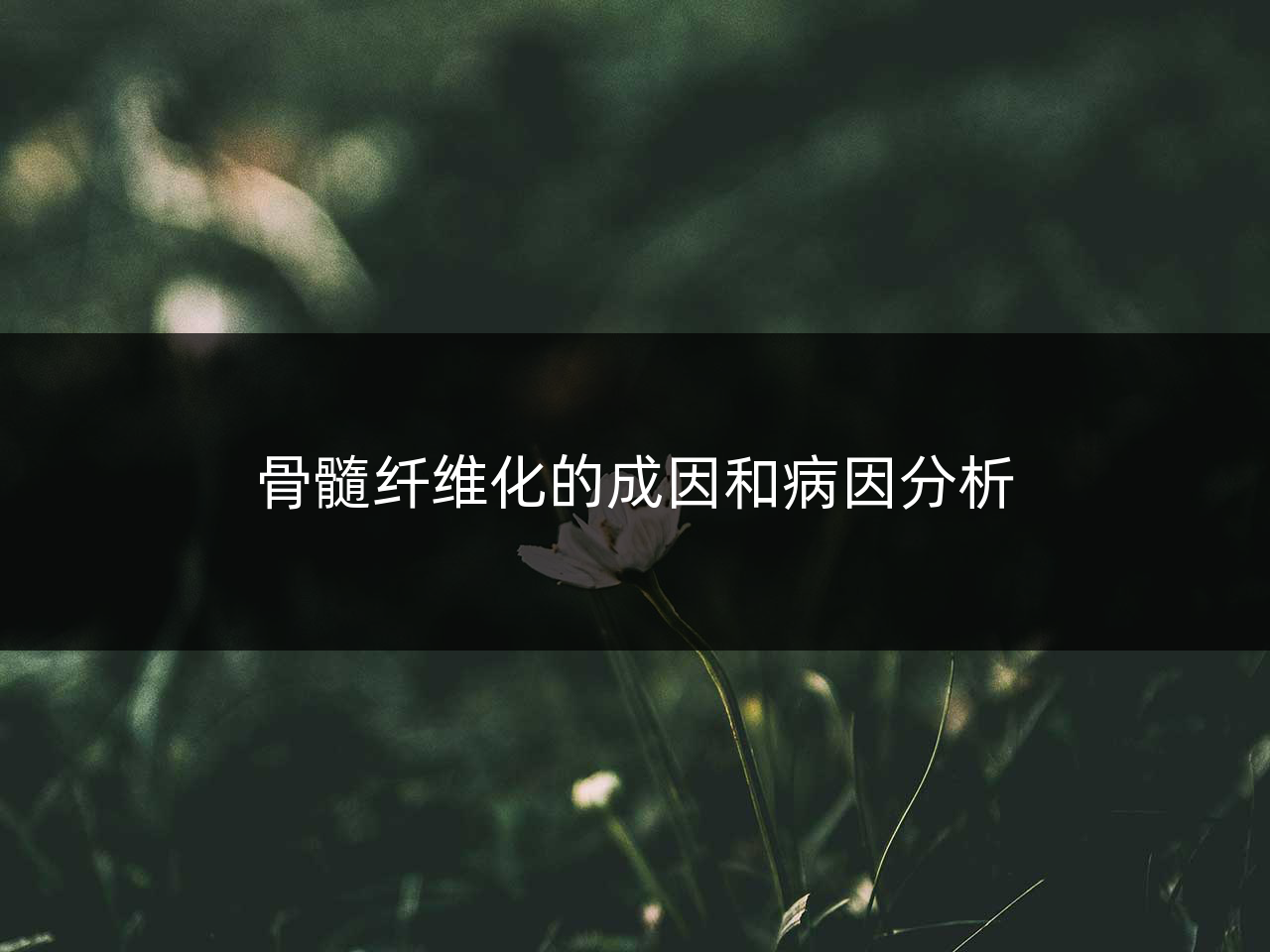骨髓纤维化的成因和病因分析