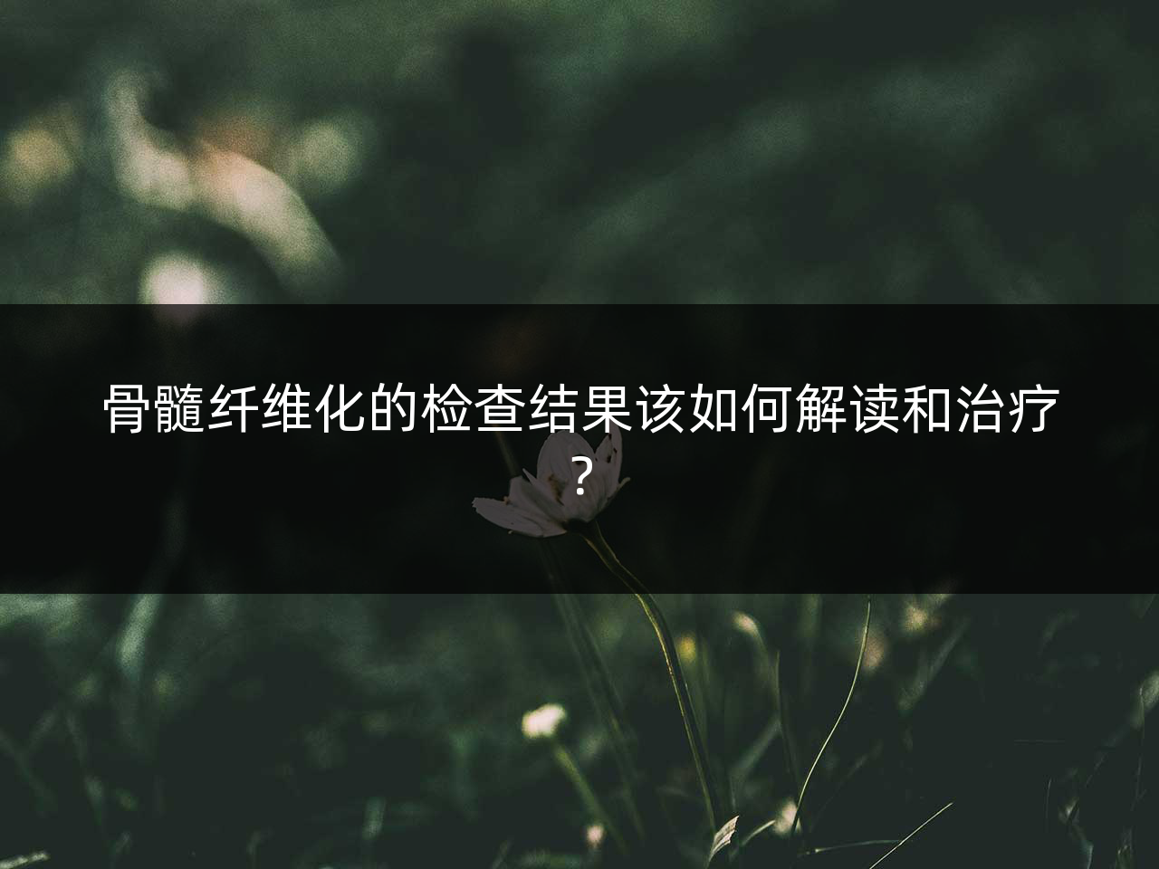 骨髓纤维化的检查结果该如何解读和治疗?