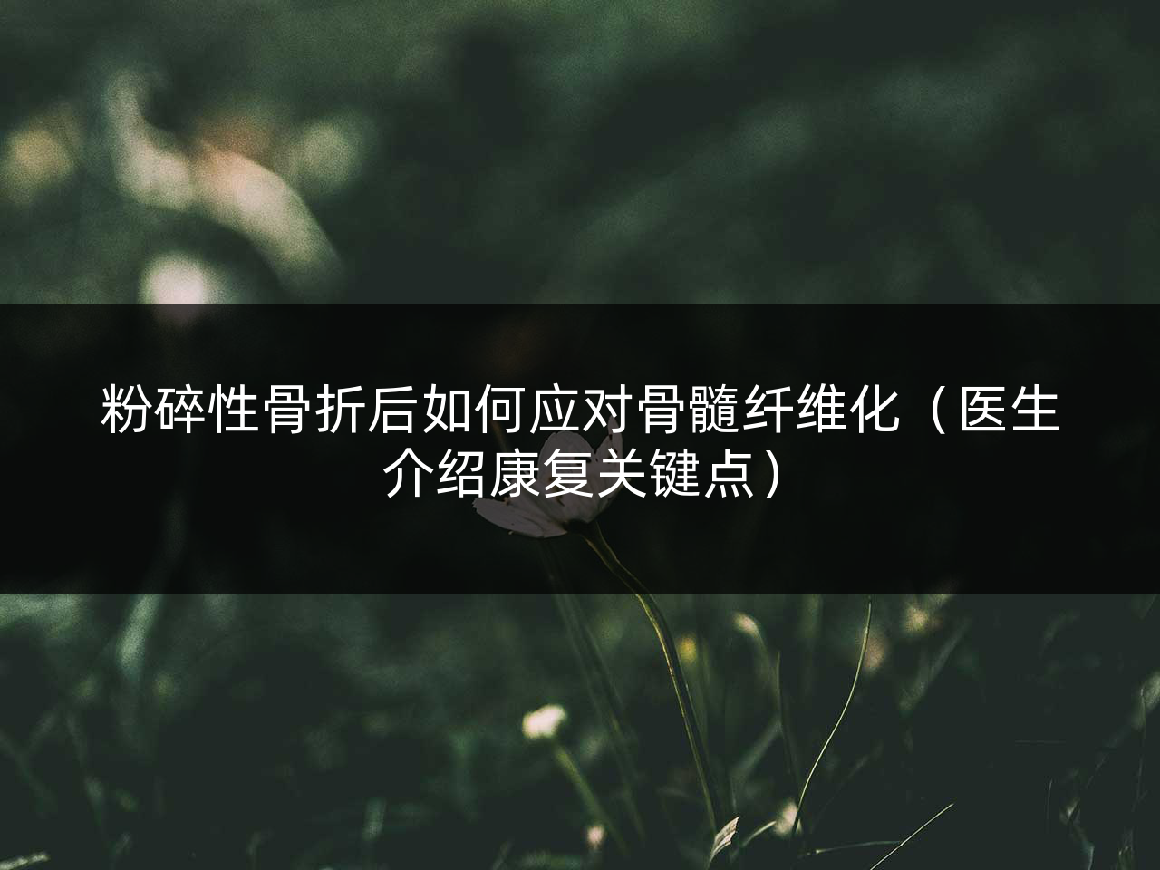 粉碎性骨折后如何应对骨髓纤维化(医生介绍康复关键点)