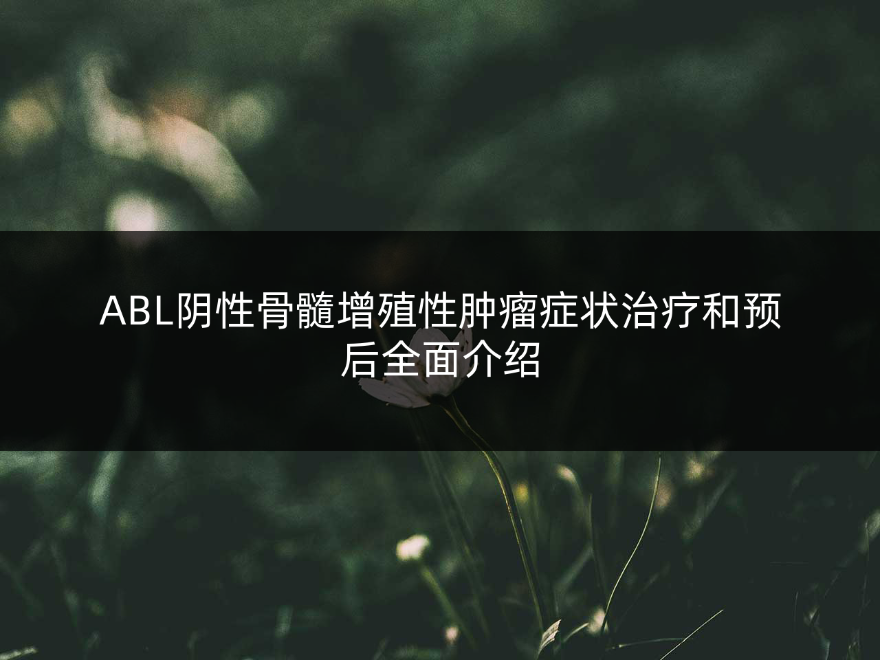 ABL阴性骨髓增殖性肿瘤症状治疗和预后全面介绍