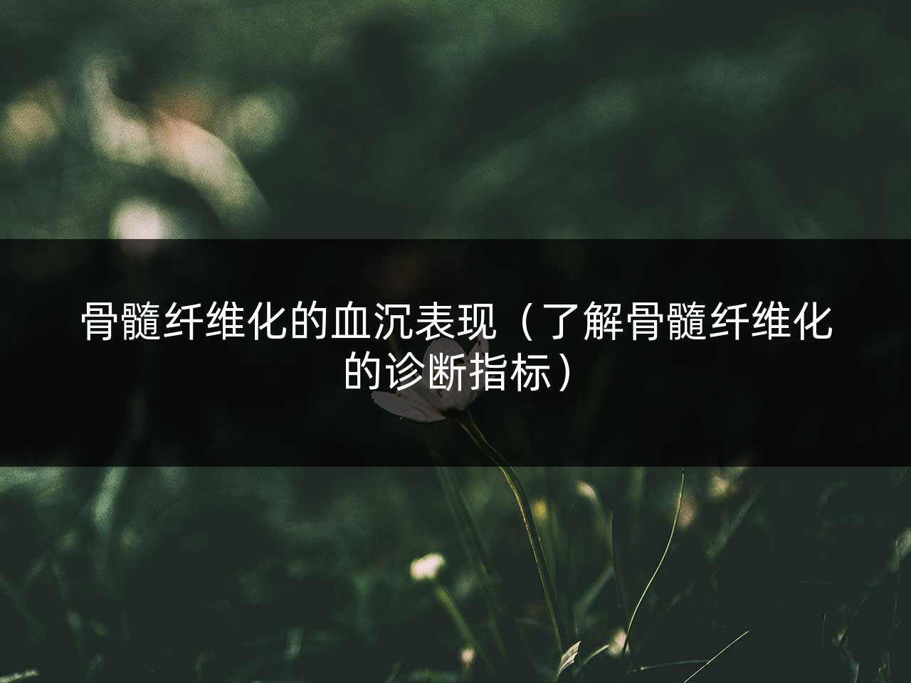 骨髓纤维化的血沉表现(了解骨髓纤维化的诊断指标)