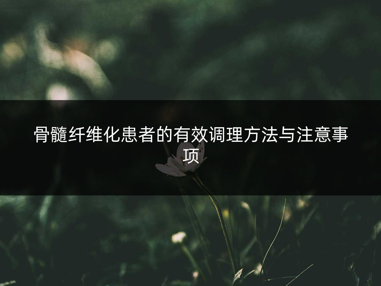 骨髓纤维化患者的有效调理方法与注意事项