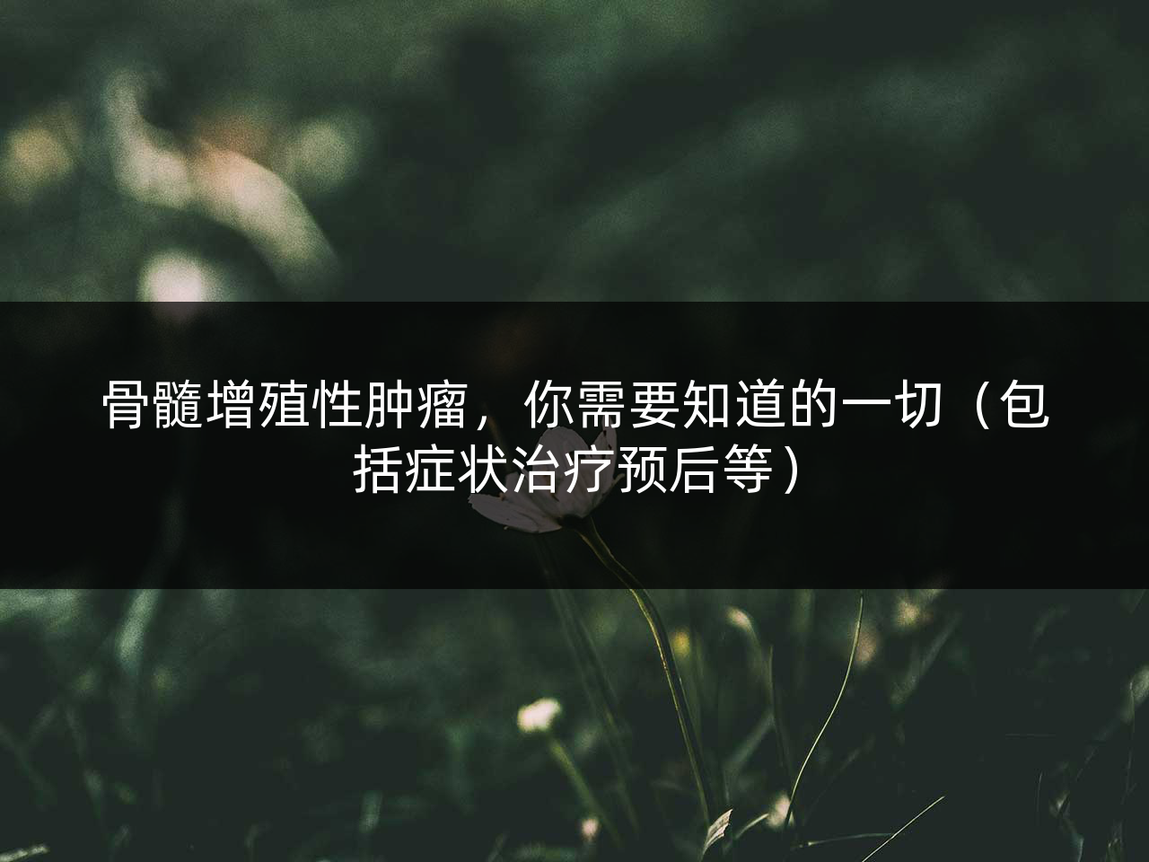 骨髓增殖性肿瘤,你需要知道的一切(包括症状治疗预后等)