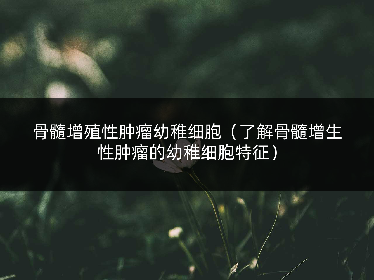 骨髓增殖性肿瘤幼稚细胞(了解骨髓增生性肿瘤的幼稚细胞特征)