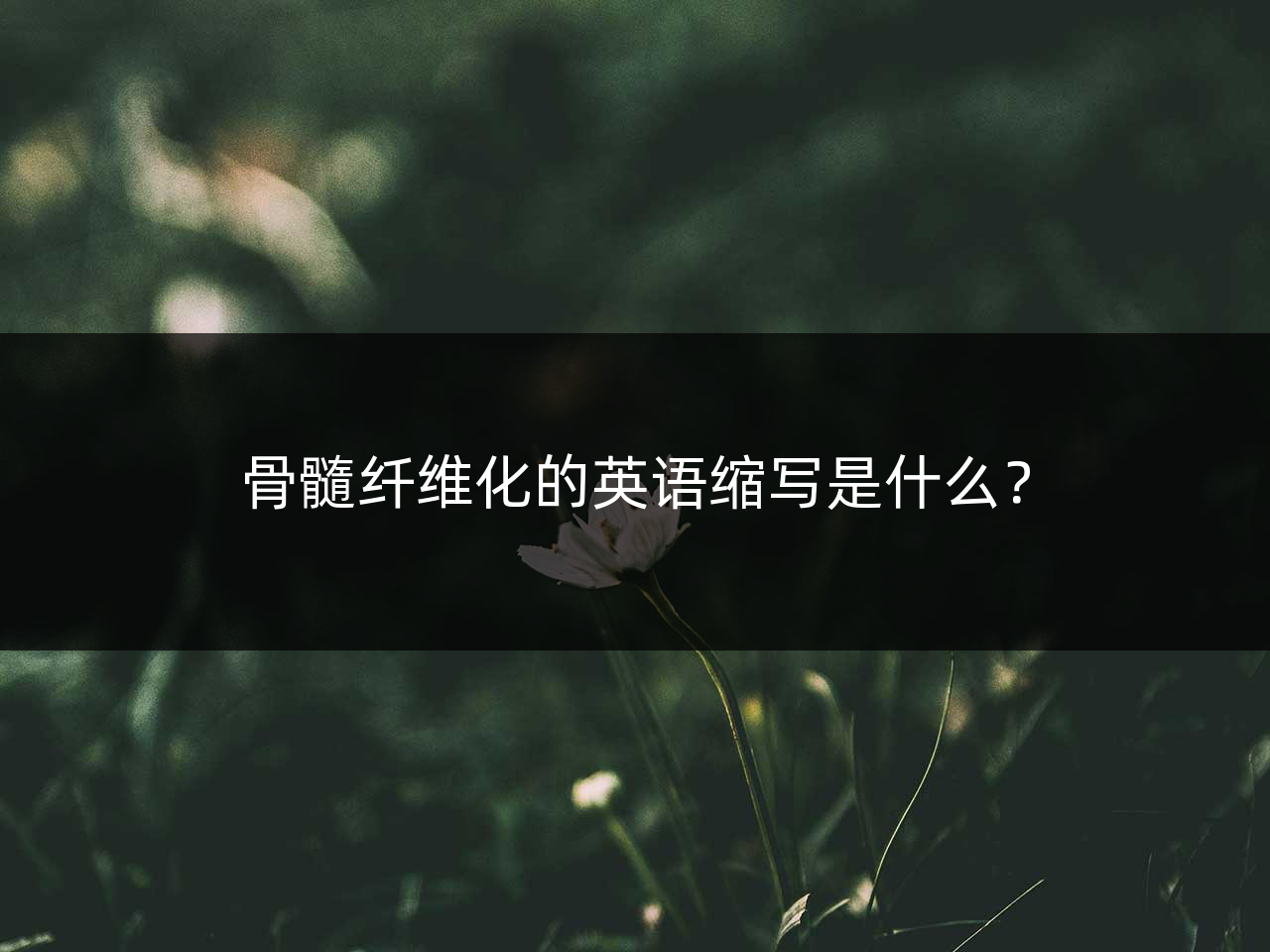 骨髓纤维化的英语缩写是什么?