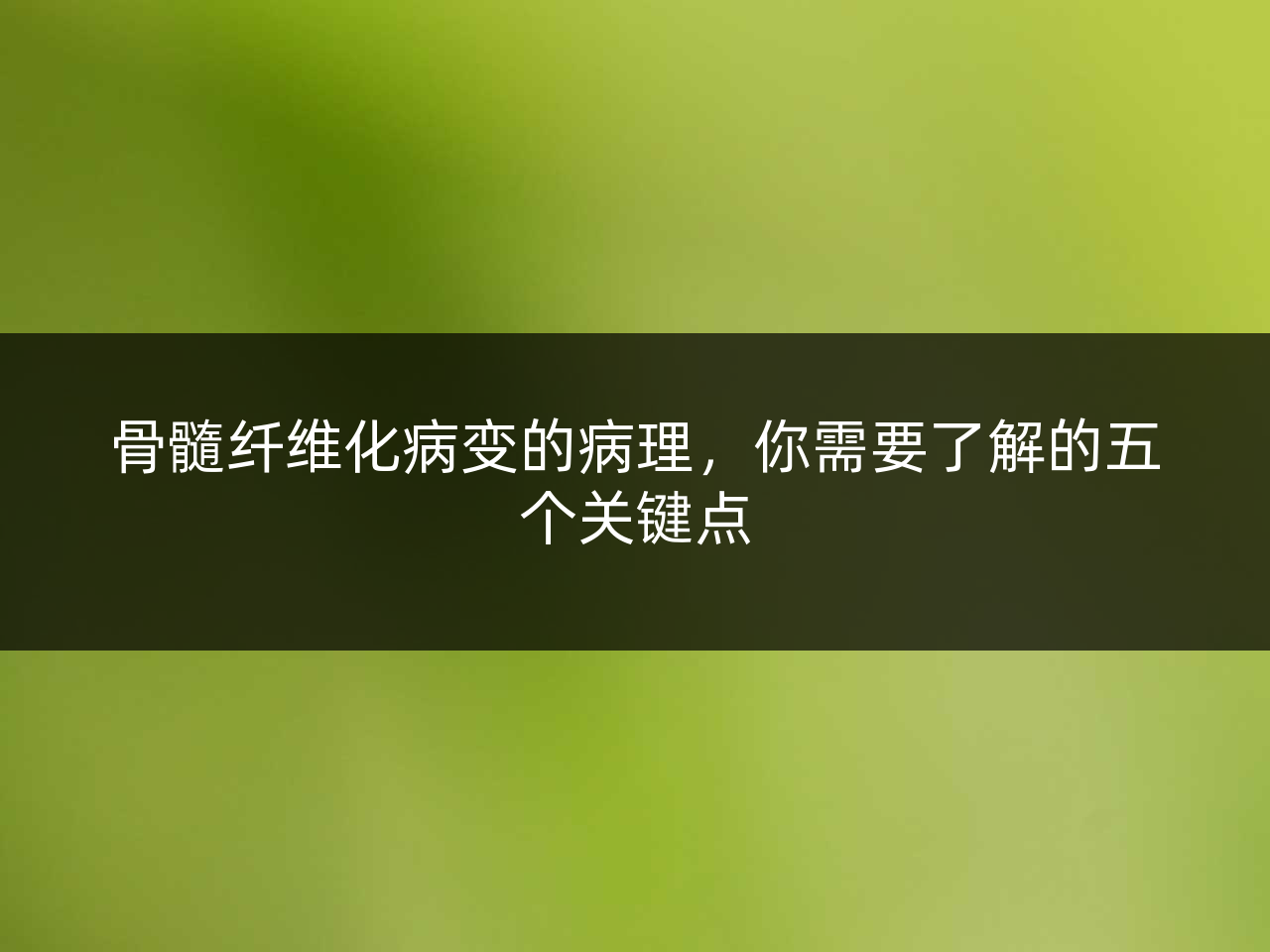骨髓纤维化病变的病理,你需要了解的五个关键点